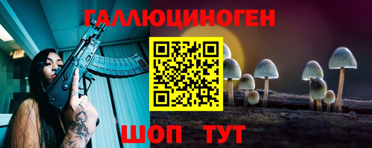 Новоуральск  Галлюциногенные грибы Psilocybe  Вход с VPN 